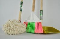 Domestic Cleaning Services - 36262 achievements