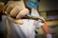 естетична стоматология - 26114 бестселъри