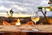 бели вина - 88707 типа