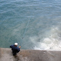 макари за риболов - 99184 снимки