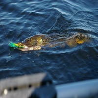 макари за риболов - 32754 отстъпки