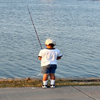 макари за риболов - 42598 типа