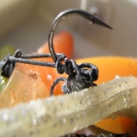 макари за риболов - 93142 постижения