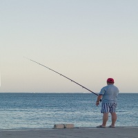 плетено влакно - 80910 бестселъри