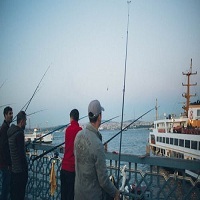 воблери - 25555 вида