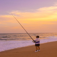 воблери - 32958 варианти