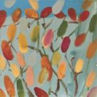 луксозни дамски шалове - 11520 разновидности