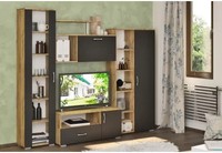 секции - 17835 вида