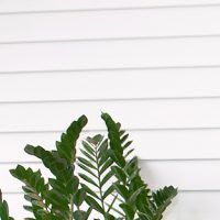 автоматични плъзгащи врати - 24120 постижения