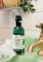 масла от чаено дърво - 65370 снимки