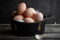 тенджери - 60903 цени