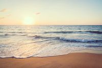 екскурзия до Мексико - 11145 новини