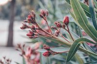 екскурзия Колумбия - 37999 постижения