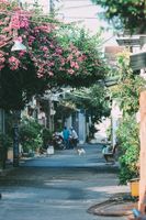 екскурзия Колумбия - 63398 новини