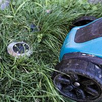 идеи за градина - 6627 вида