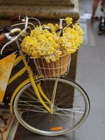 колела Cross - 65464 вида