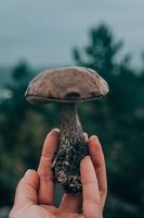 гъбички по ноктите - 45989 предложения