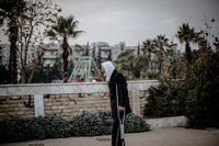 патерици - 64263 вида