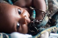 пилинги - 39086 вида