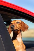 покривала за кола - 8668 цени