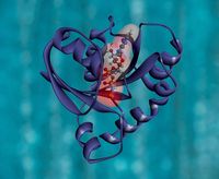 апарати за кръвно налягане - 57005 клиенти