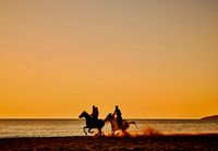 почивки в Албания - 98489 клиенти