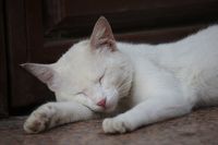 подови отопления - 44337 бестселъри