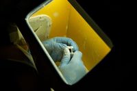 зъбни импланти - 19032 оферти