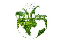 Биоразнообразие - 67195 предложения