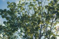 Биоразнообразие - 4346 новини