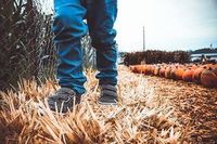 детски анцузи - 16070 снимки