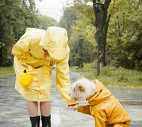 Кинологии - 94578 възможности