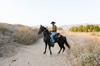 Конни спортове - 14303 оферти