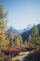 Селски райони - 94819 комбинации