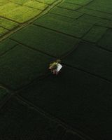 Строителства на еднофамилни къщи - 20778 цени