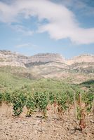 субсидии за земеделие - 67576 снимки