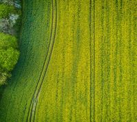 субсидии за земеделие - 1174 варианти