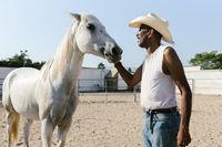 животновъдства - 27619 бестселъри