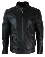 Leather Racer Jacket - 43171 the species