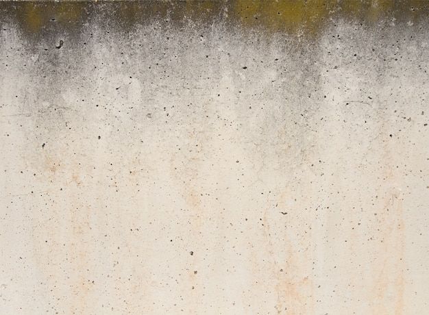 шпакловане цени - 75878 промоции