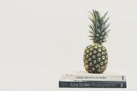 книги за домашно консервиране и зимнина - 10859 варианти