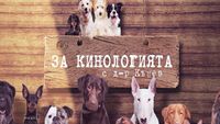 иновации в земеделието - 31440 постижения