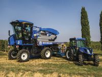 зърнопроизводство - 30080 варианти