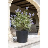 градински дивани - 18795 предложения