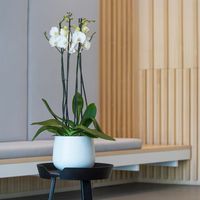 градински дивани - 61609 отстъпки