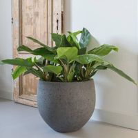 градински столове - 90160 клиенти