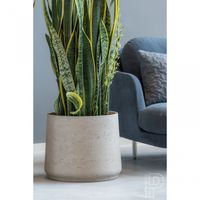 керамични саксии - 88998 варианти