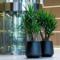 саксии - 63049 комбинации