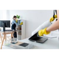 еднократно почистване на апартамент - 60655 вида