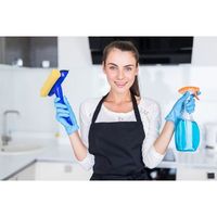 еднократно почистване на апартамент - 67280 вида